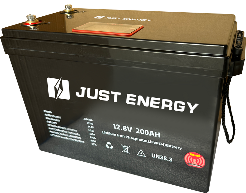 12.8V 200ah Lithium Ion Rechargeable Battery Portable Power Storage LiFePO4 Battery